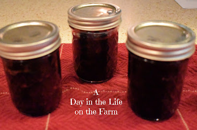 Tart Cherry Preserves