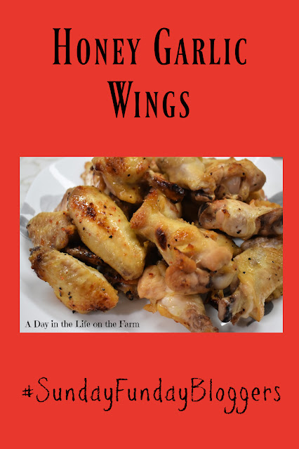 Honey Garlic Wings pin
